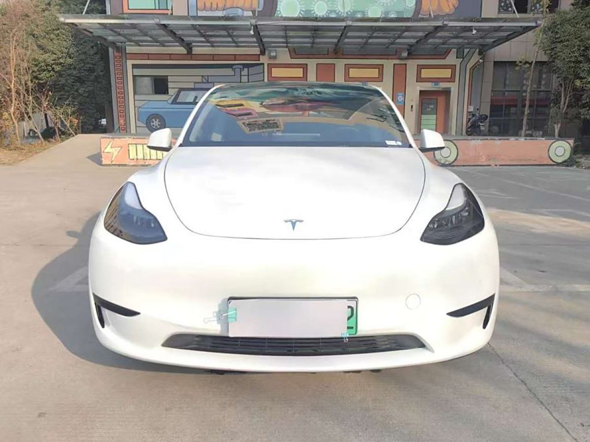 特斯拉 Model 3  2022款 后輪驅(qū)動版圖片