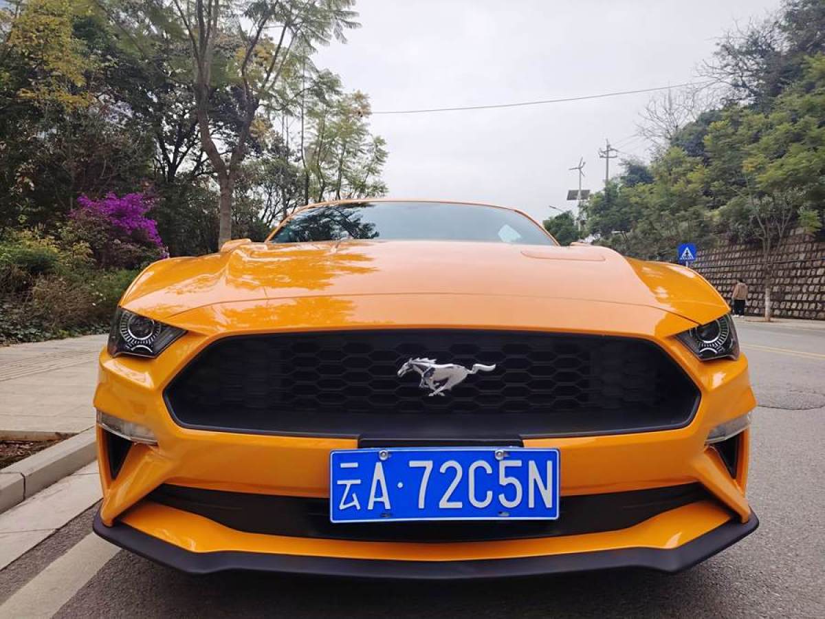 福特 Mustang  2018款 2.3L EcoBoost圖片