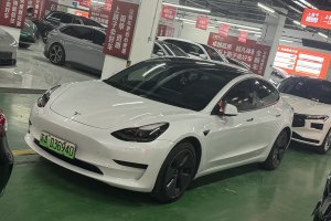 Model 3 特斯拉 标准续航后驱升级版