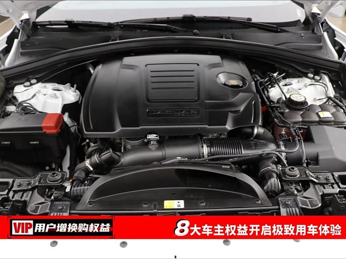 捷豹 F-PACE  2024款 P250 R-Dynamic SE圖片