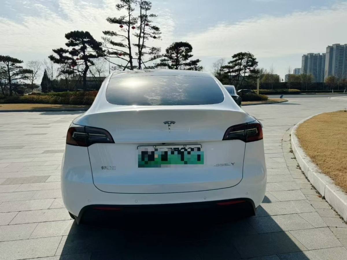 特斯拉 Model Y  2023款 后輪驅(qū)動版圖片