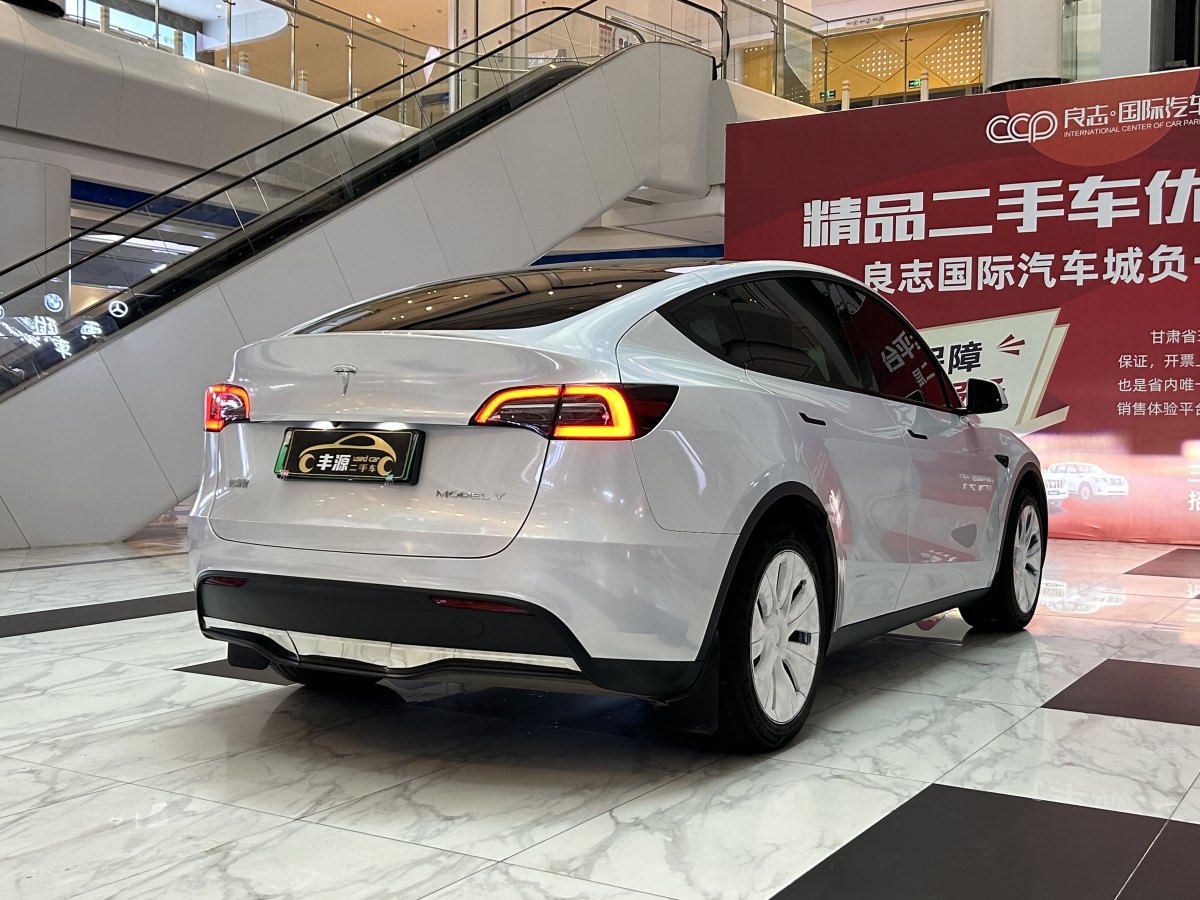 特斯拉 Model Y  2020款 改款 長(zhǎng)續(xù)航后輪驅(qū)動(dòng)版圖片