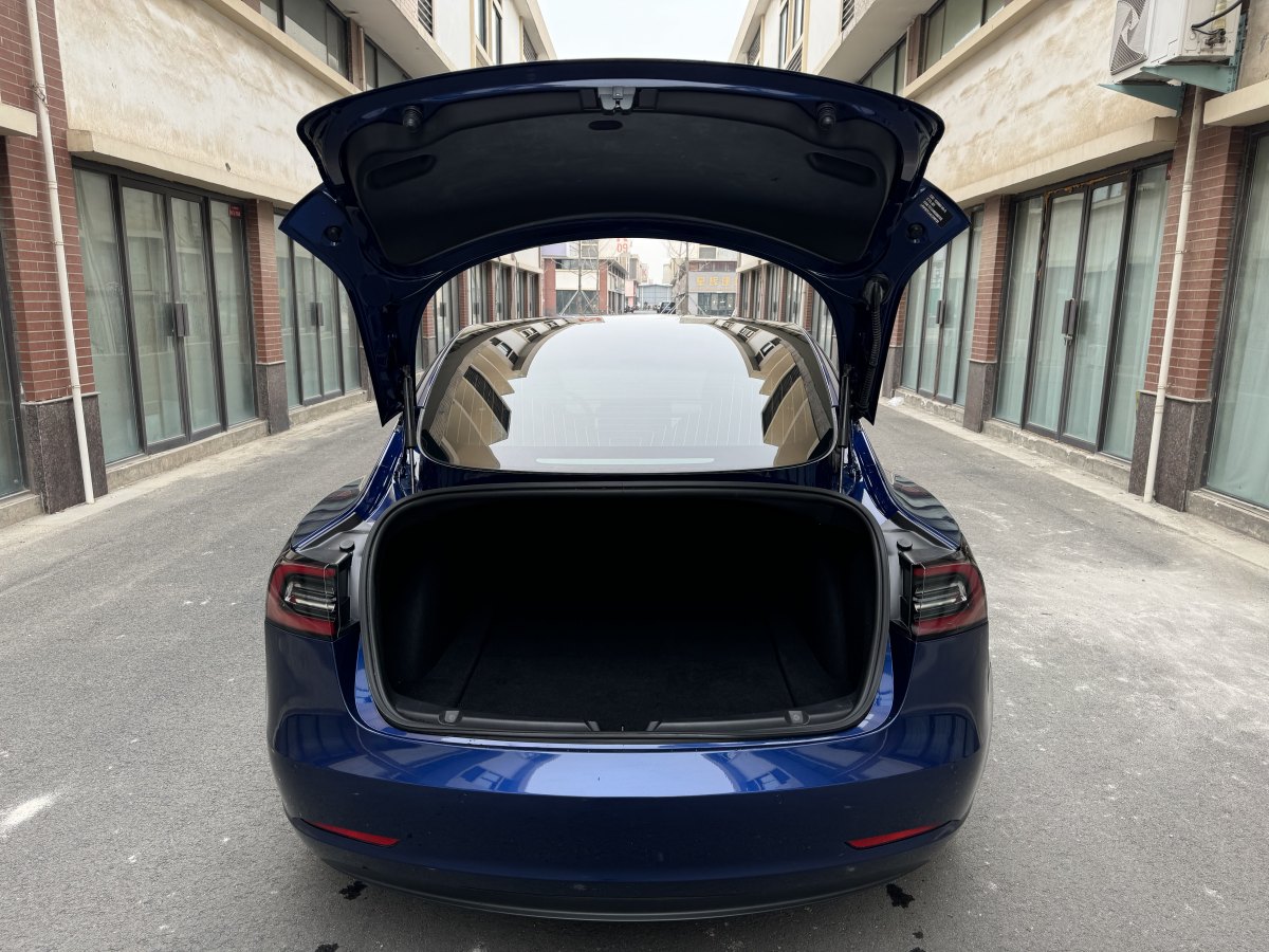 特斯拉 Model 3  2019款 標準續(xù)航后驅(qū)升級版圖片