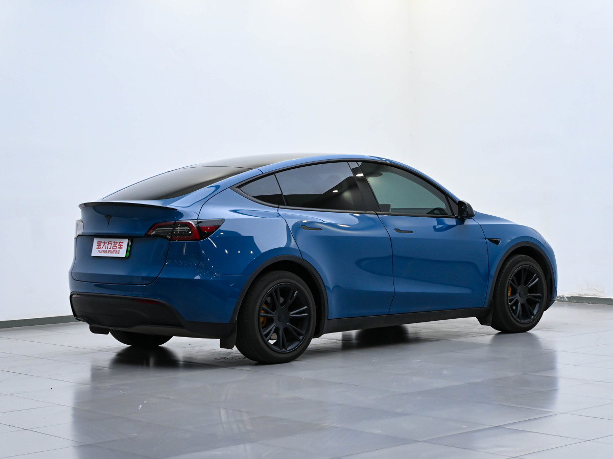 2024年3月特斯拉 Model Y  2020款 改款 長續(xù)航后輪驅(qū)動版