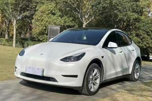 Model 3 特斯拉 Performance高性能全輪驅(qū)動版