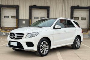 奔馳GLE 奔馳 GLE 320 4MATIC 動感型臻藏版