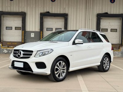 2018年12月 奔馳 奔馳GLE(進(jìn)口) GLE 320 4MATIC 動(dòng)感型臻藏版圖片