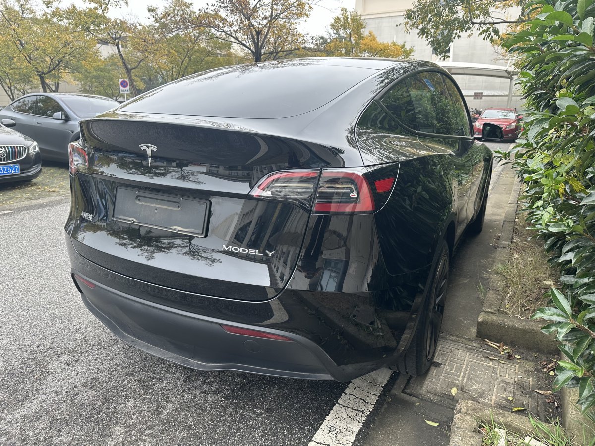 特斯拉 Model Y  2020款 改款 長續(xù)航后輪驅動版圖片