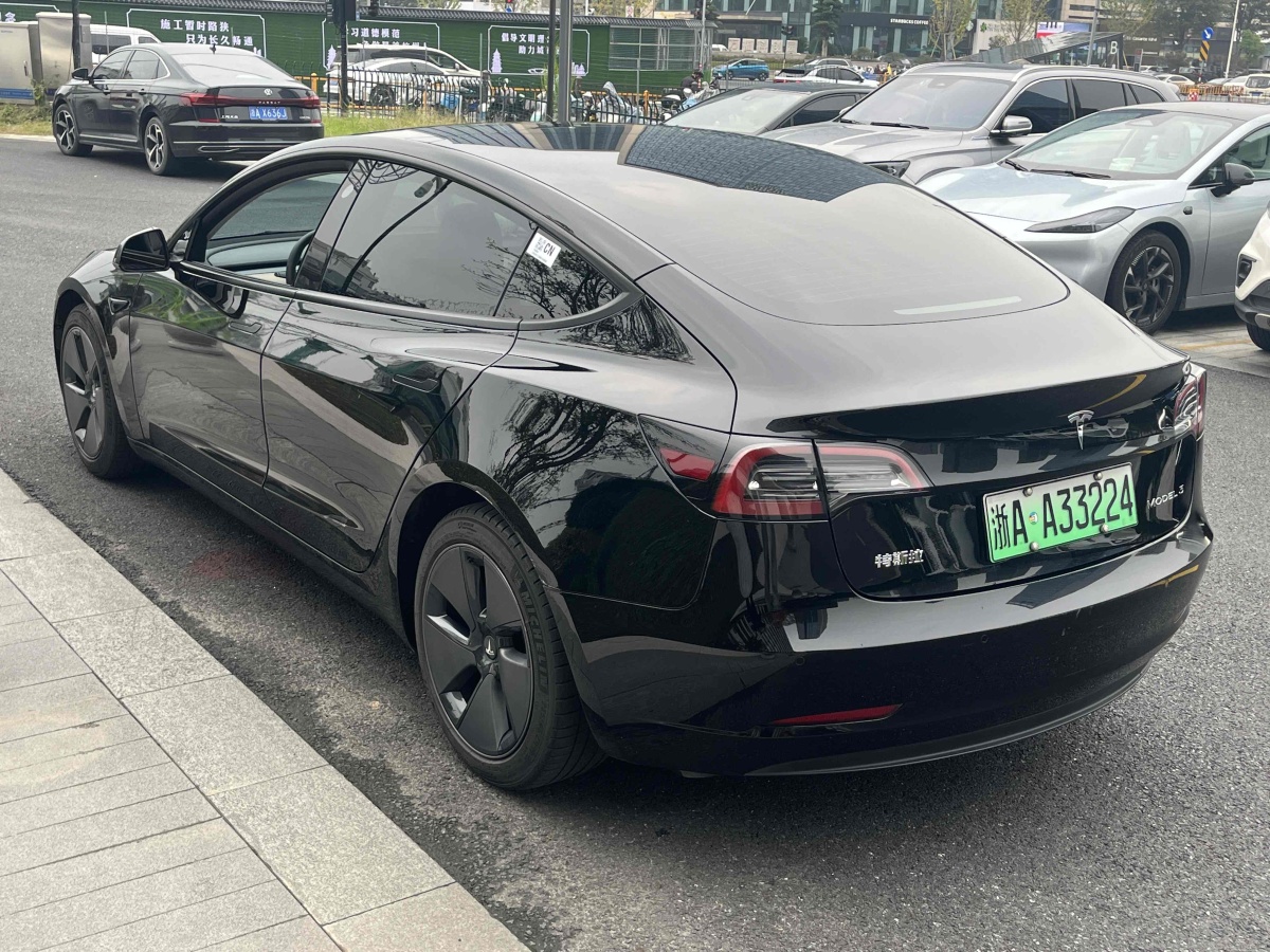 特斯拉 Model Y  2021款 標(biāo)準(zhǔn)續(xù)航后驅(qū)升級(jí)版 3D6圖片