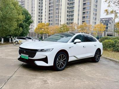 2023年12月 嵐圖 嵐圖追光 PHEV 四驅(qū)超長續(xù)航旗艦版圖片