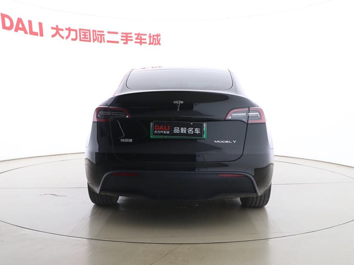 特斯拉 Model Y  2020款 改款 長續(xù)航后輪驅(qū)動版圖片