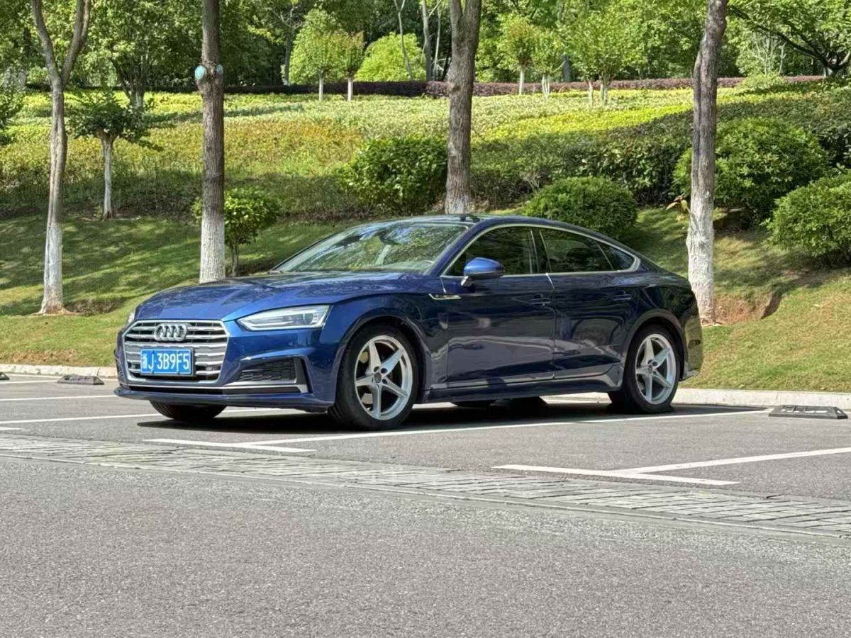 奧迪 奧迪Q5  2018款 典藏版 40 TFSI 技術(shù)型圖片