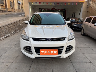 2014年1月 福特 翼虎 1.6L GTDi 兩驅(qū)風(fēng)尚型圖片