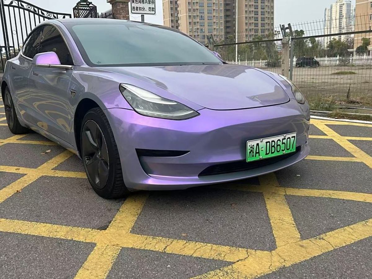 特斯拉 Model 3  2019款 標(biāo)準(zhǔn)續(xù)航后驅(qū)升級(jí)版圖片