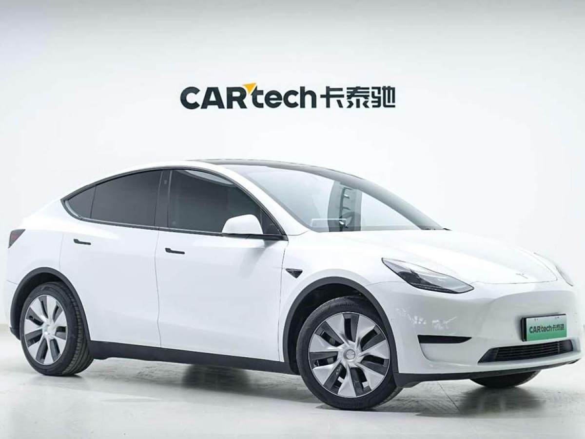 特斯拉 Model 3  2020款 改款 長續(xù)航后輪驅(qū)動(dòng)版圖片