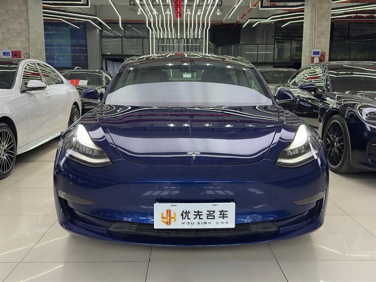 特斯拉 Model 3  2019款 長續(xù)航全輪驅(qū)動(dòng)版圖片