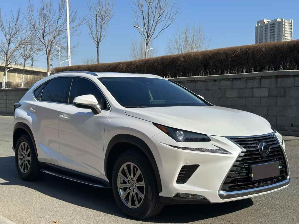 雷克薩斯 NX  2019款 300h 百萬紀(jì)念限量版 國VI圖片