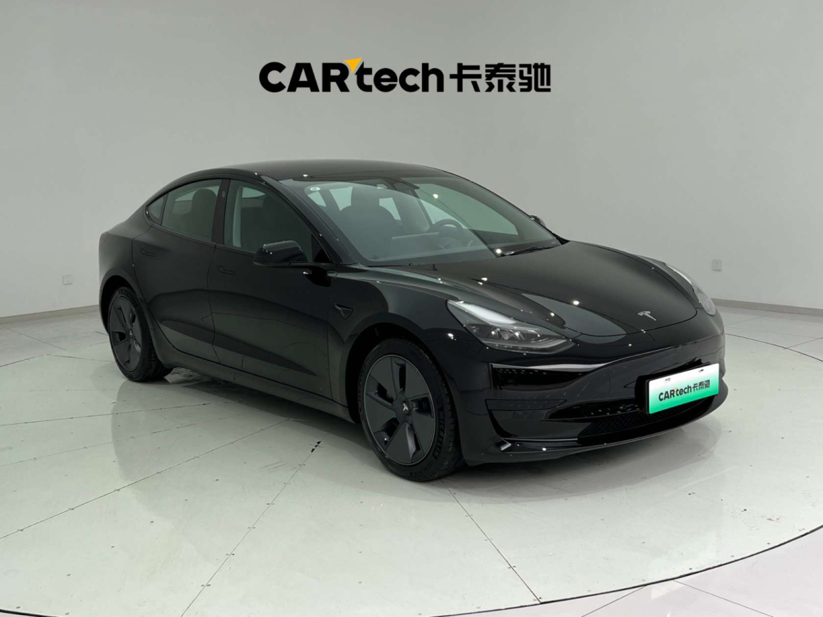 2022年6月特斯拉 Model 3  2022款 后輪驅(qū)動版