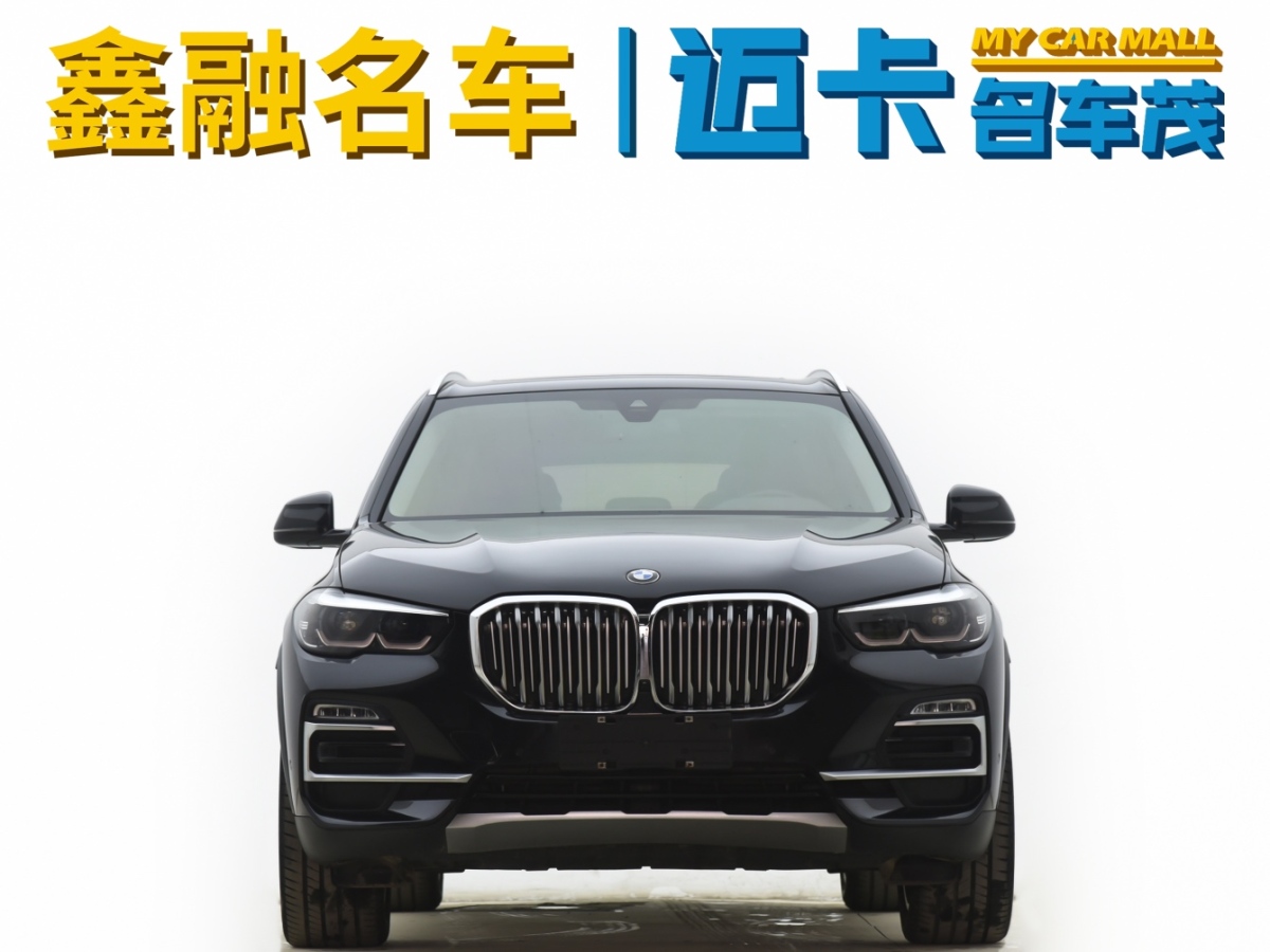 寶馬 寶馬X5  2019款 xDrive30i X設(shè)計(jì)套裝圖片