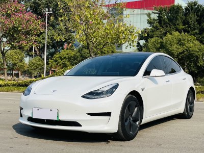 2021年1月 特斯拉 Model 3 改款 標(biāo)準(zhǔn)續(xù)航后驅(qū)升級版圖片