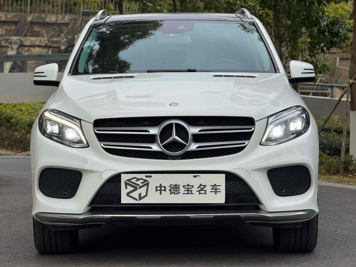 奔馳 奔馳GLE  2016款 GLE 320 4MATIC 動(dòng)感型圖片