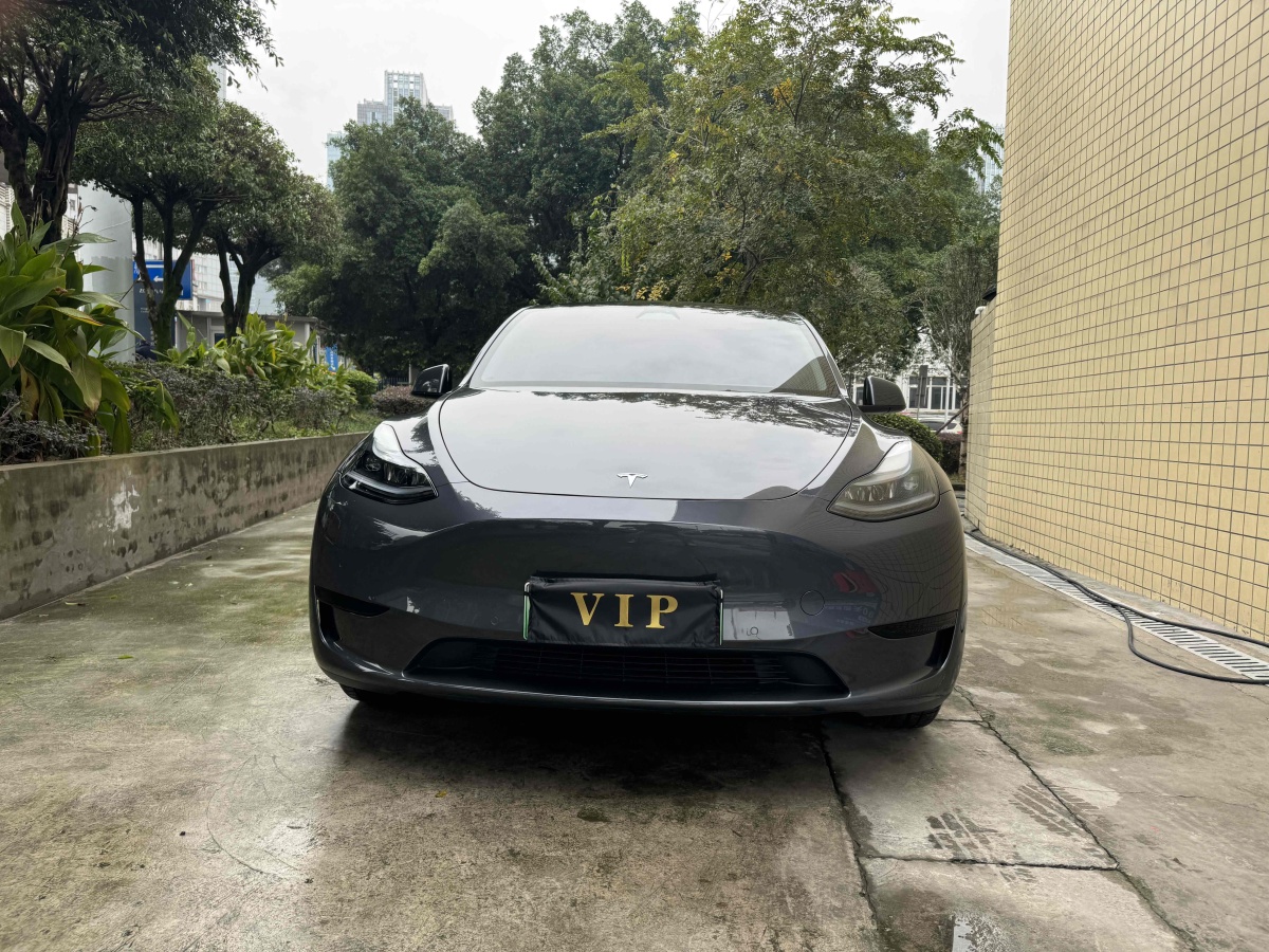 特斯拉 Model 3  2020款 改款 長續(xù)航后輪驅(qū)動版圖片