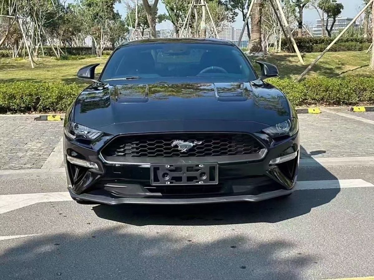 福特 Mustang  2015款 2.3T 性能版圖片