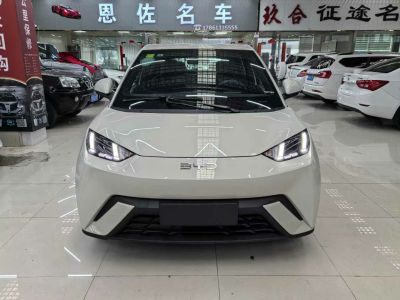 2024年1月 比亚迪 宋L 550km 卓越型图片