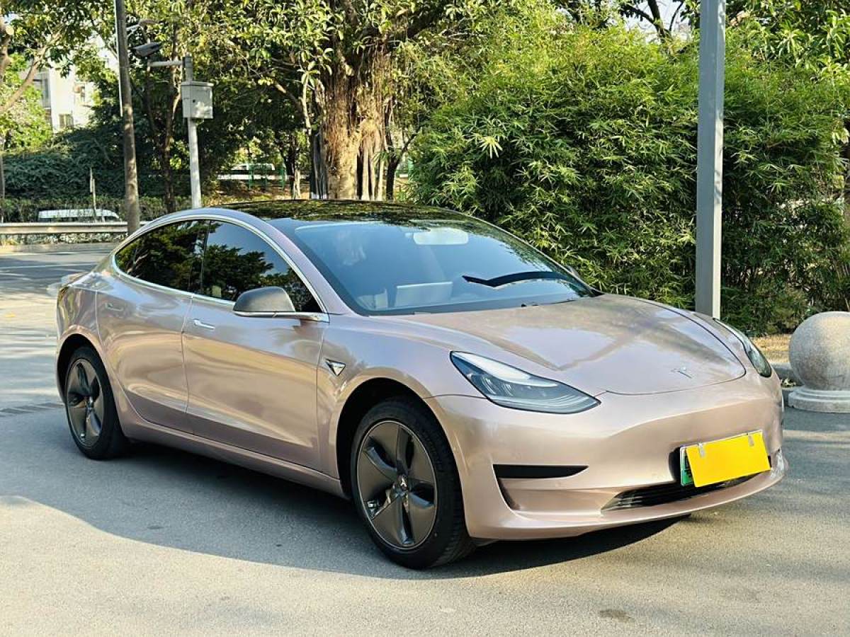 特斯拉 Model 3  2019款 標(biāo)準(zhǔn)續(xù)航后驅(qū)升級(jí)版圖片