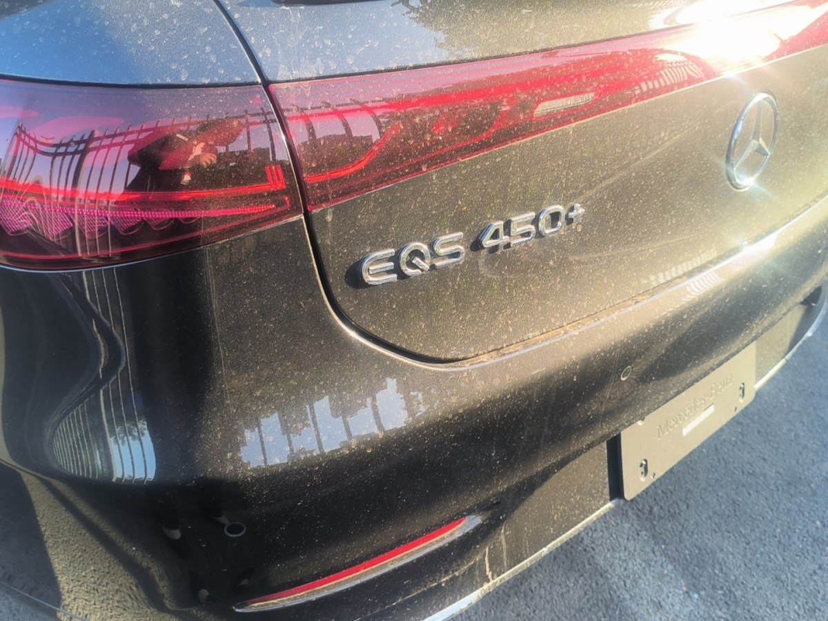 2024年4月奔驰 奔驰EQS  2023款 450+ 先锋版