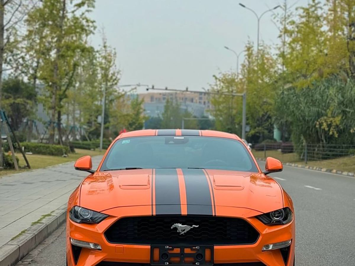 福特 Mustang  2021款 2.3L EcoBoost圖片