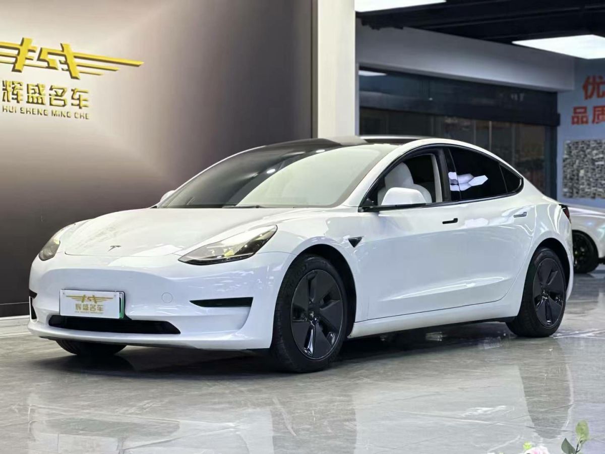 特斯拉 Model 3  2022款 Performance高性能全輪驅(qū)動版圖片