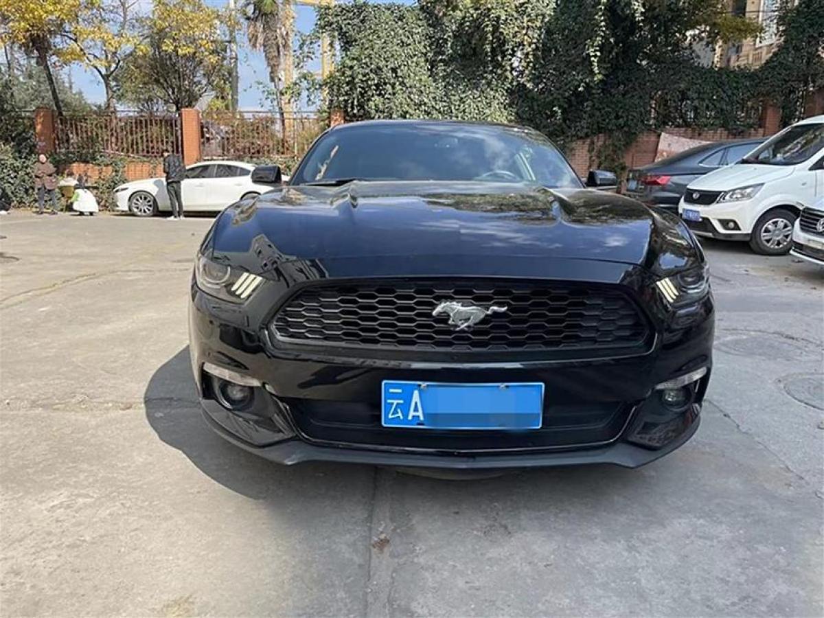 福特 Mustang  2015款 2.3T 性能版圖片