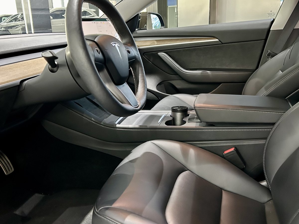 特斯拉 Model 3  2021款 Performance高性能全輪驅(qū)動版 3D6圖片