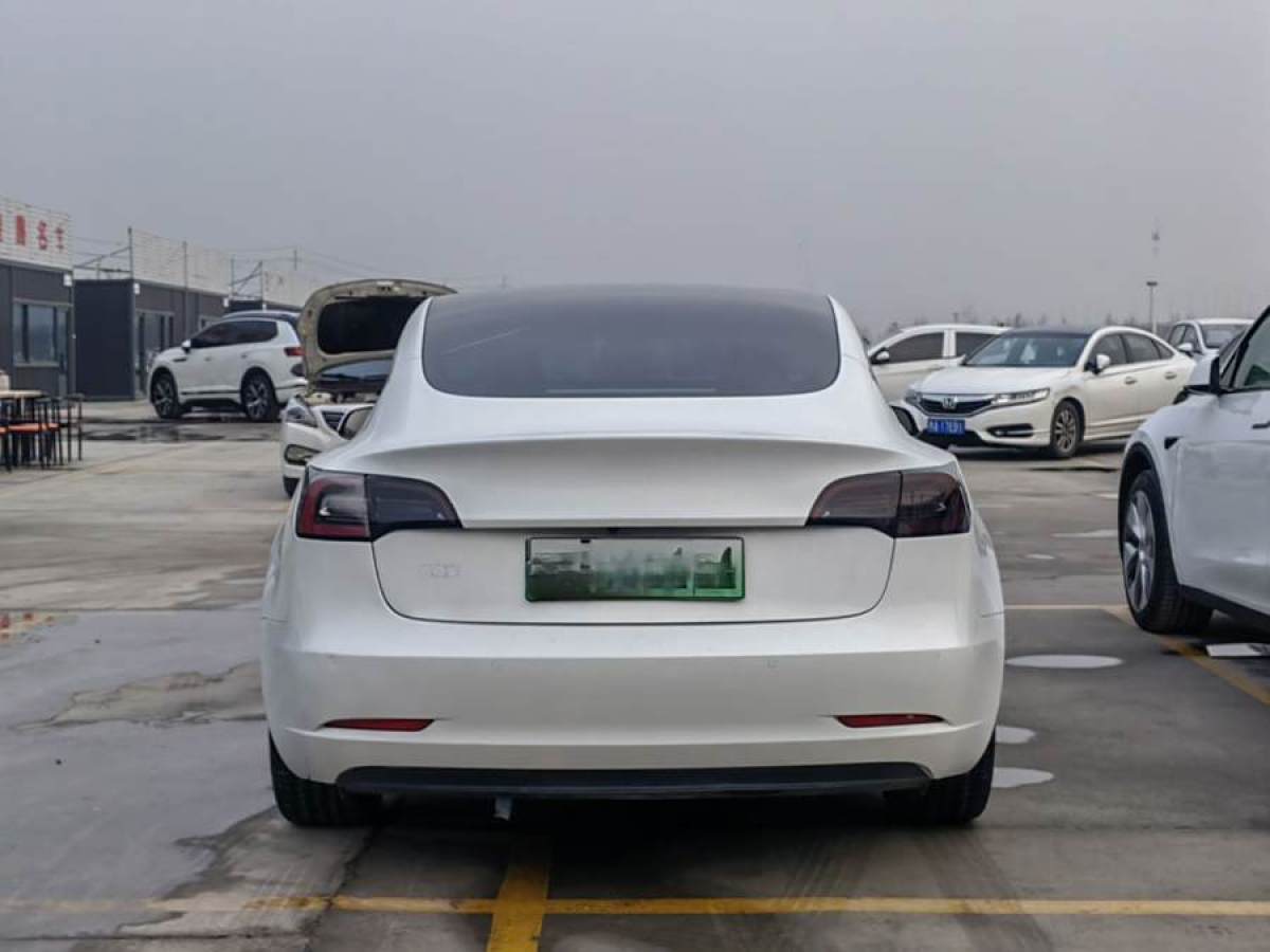 特斯拉 Model 3  2021款 改款 標準續(xù)航后驅升級版圖片