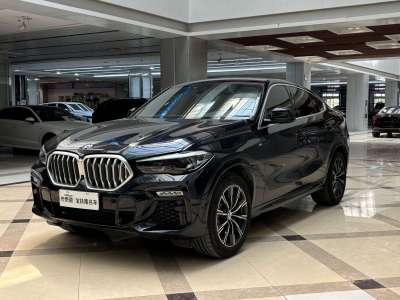 2021年1月 宝马 宝马X6(进口) xDrive30i M运动套装图片