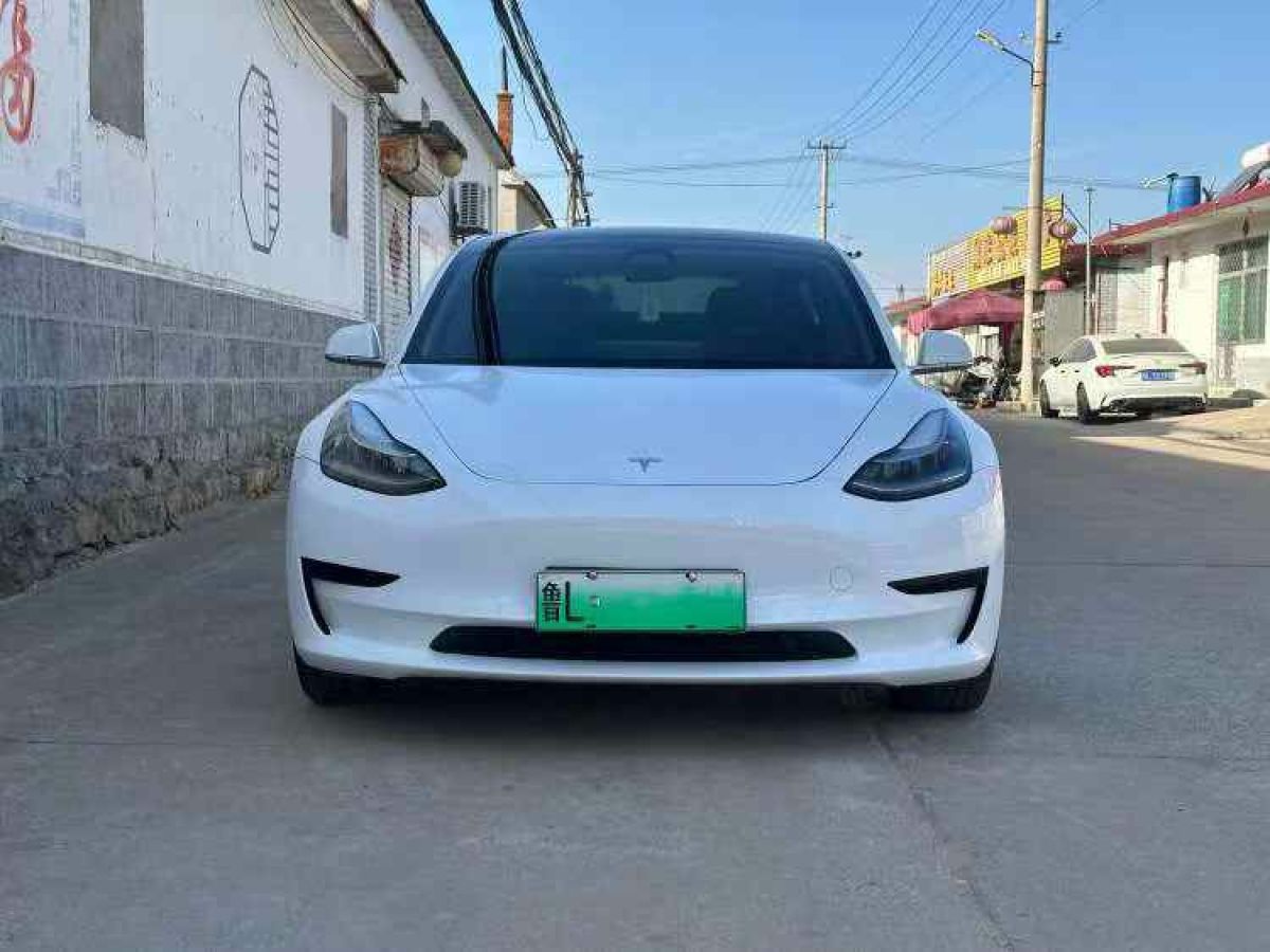 特斯拉 Model X  2020款 Performance 高性能版圖片