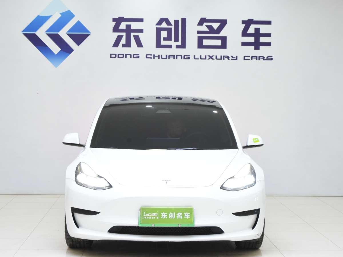 特斯拉 Model 3  2021款 標(biāo)準(zhǔn)續(xù)航后驅(qū)升級(jí)版 3D6圖片