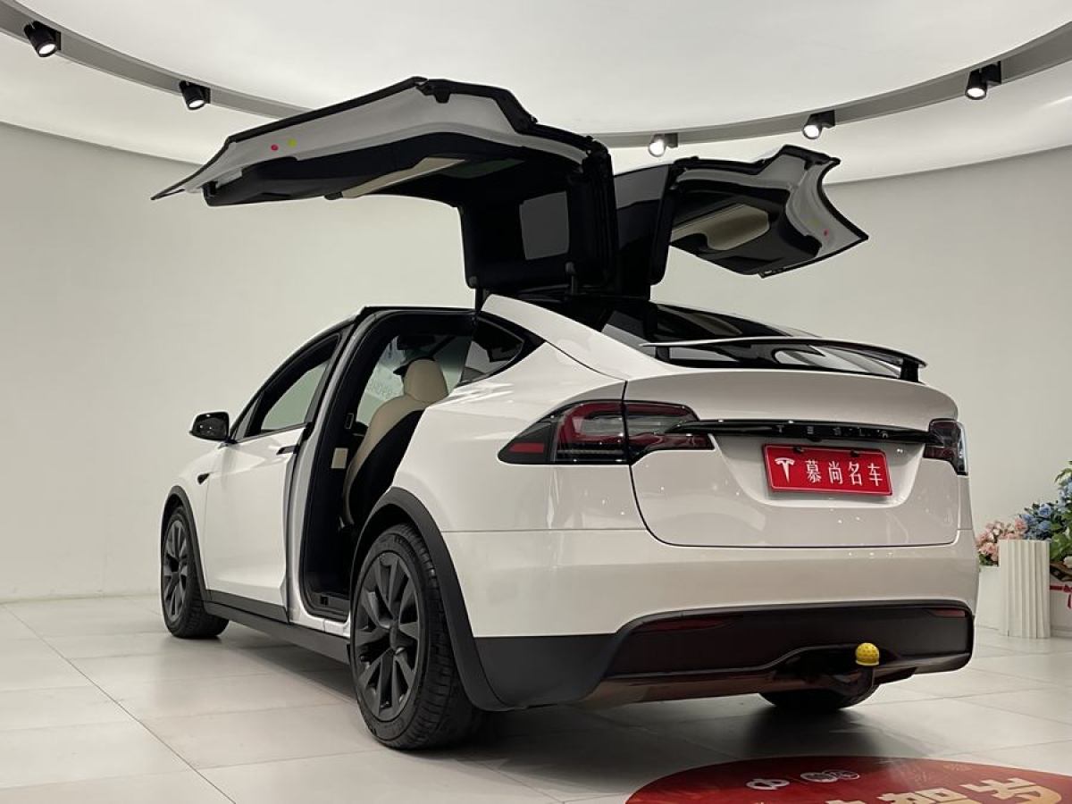 特斯拉 Model X  2023款 雙電機(jī)全輪驅(qū)動(dòng)版圖片