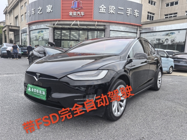 特斯拉 Model X  2019款 Performance 高性能版