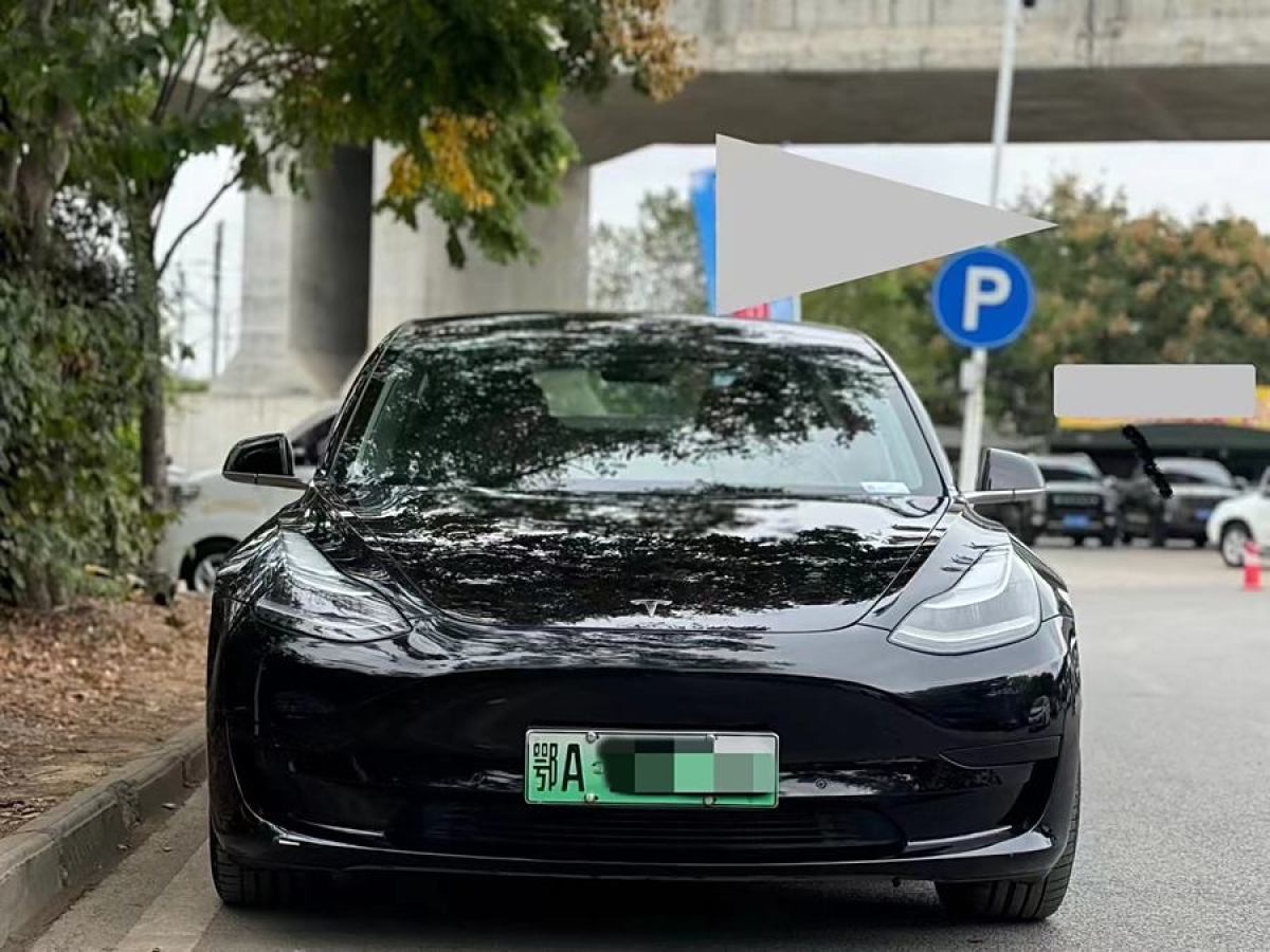 2021年1月特斯拉 Model Y  2020款 改款 標(biāo)準(zhǔn)續(xù)航后驅(qū)升級版