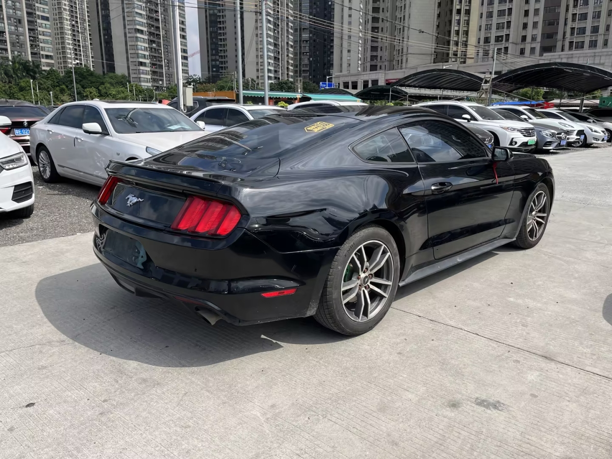 福特 Mustang  2015款 2.3T 運動版圖片