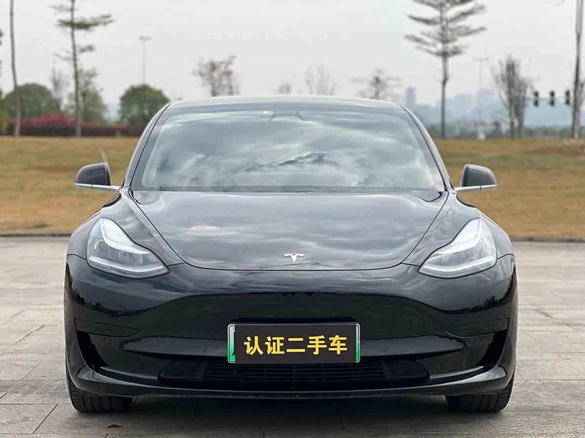 特斯拉 Model 3  2020款 改款 標(biāo)準(zhǔn)續(xù)航后驅(qū)升級(jí)版圖片