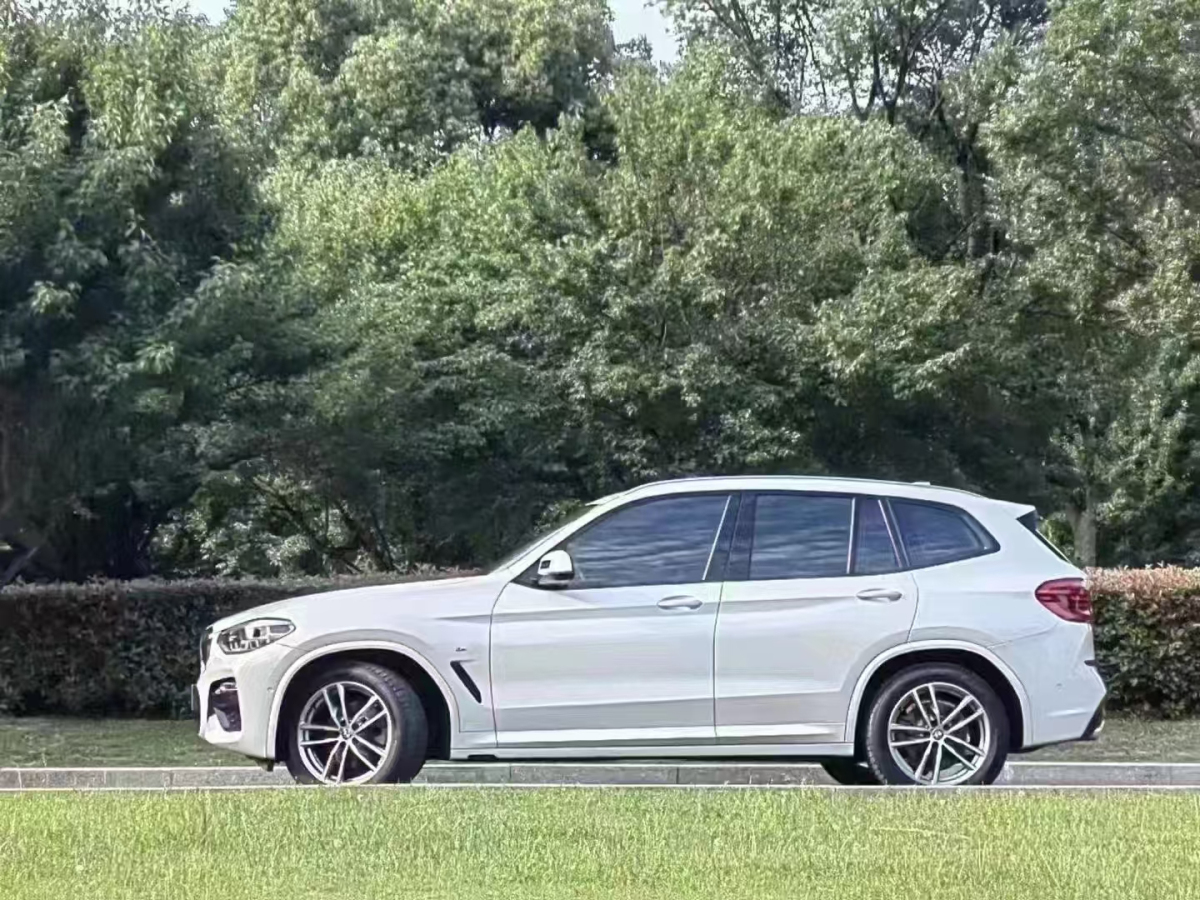 寶馬 寶馬X3  2018款 xDrive30i 領(lǐng)先型 M運(yùn)動(dòng)套裝 國(guó)VI圖片