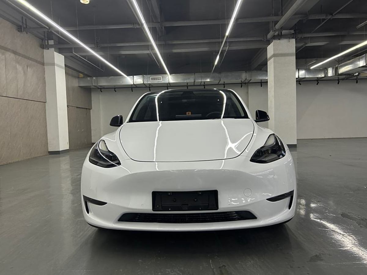 特斯拉 Model 3  2021款 改款 Performance高性能全輪驅(qū)動(dòng)版圖片