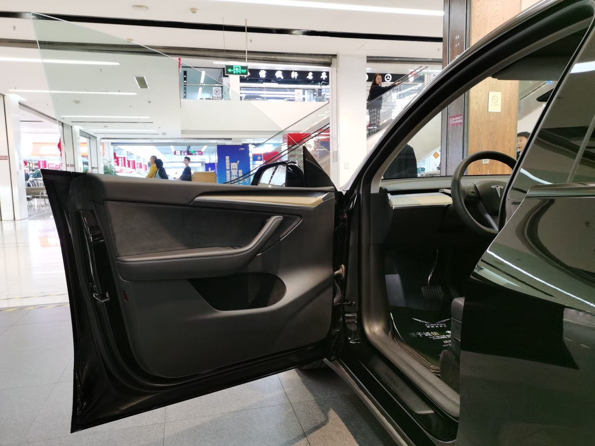 特斯拉 Model Y  2020款 改款 長續(xù)航后輪驅(qū)動版圖片