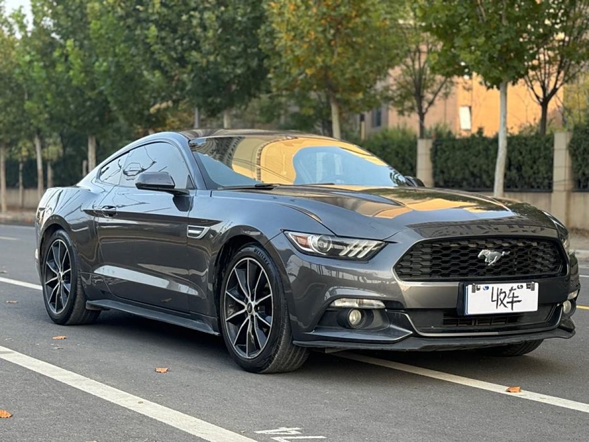 福特 Mustang  2016款 2.3T 性能版圖片