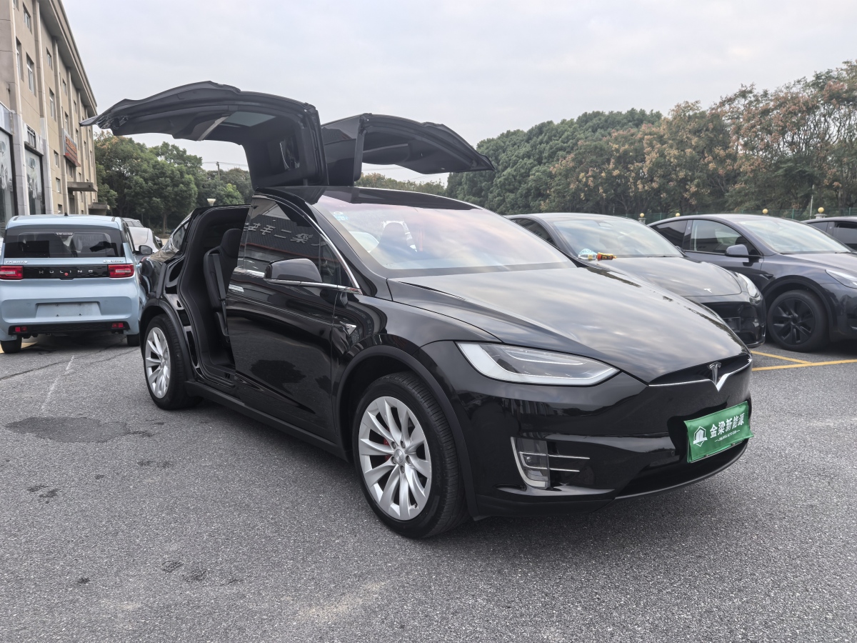 2019年7月特斯拉 Model X  2019款 Performance 高性能版