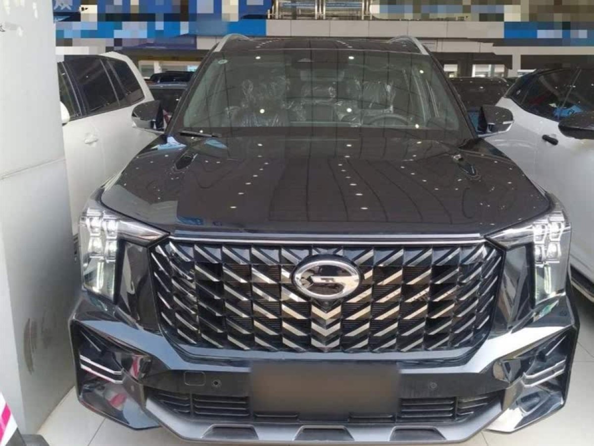 廣汽傳祺 GS8  2022款 領(lǐng)航系列 2.0TGDI 兩驅(qū)尊貴版（七座）圖片