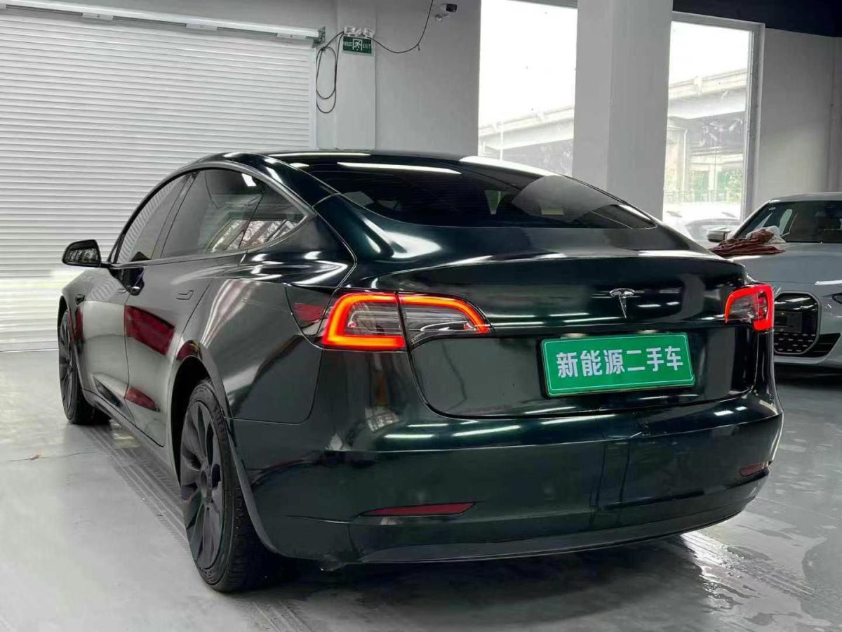 特斯拉 Model Y  2021款 標(biāo)準(zhǔn)續(xù)航后驅(qū)版圖片